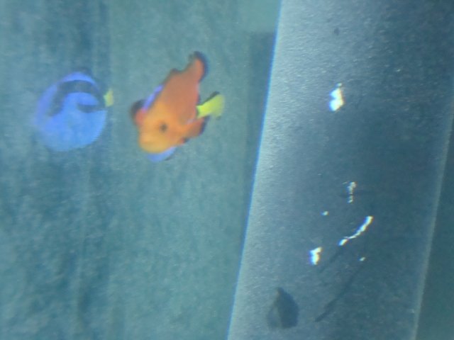 DSC02055.JPG