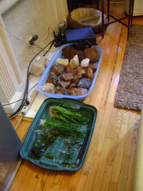 DSC00752.JPG
