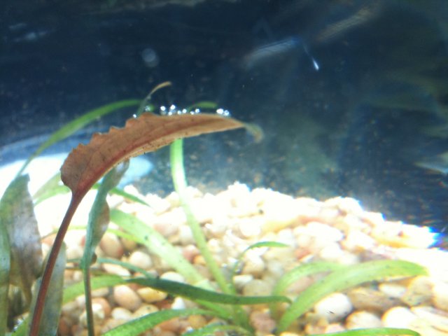 090510 iphone 008.jpg