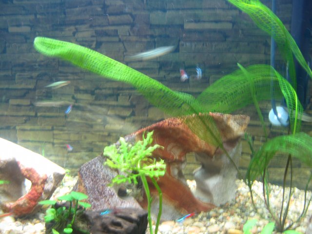 IMG_2906.JPG