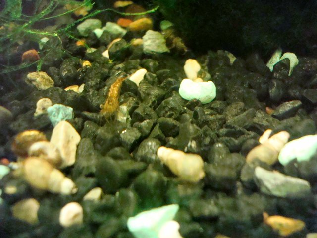 090610 digicam 027.jpg