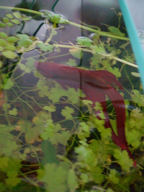 090610 digicam 122.jpg