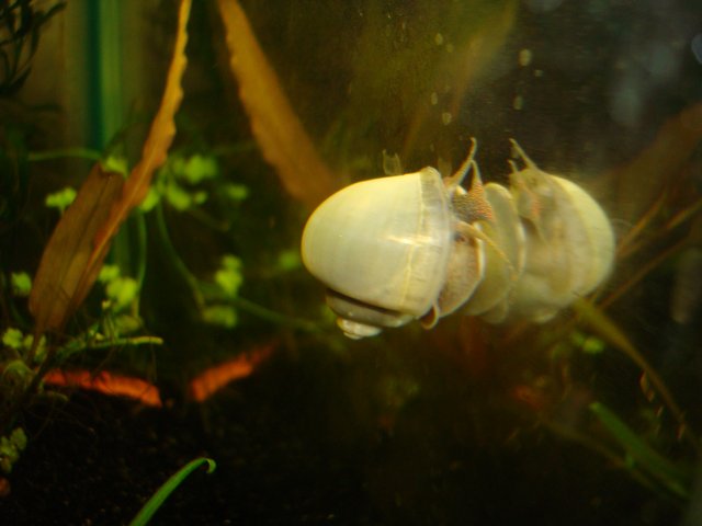 090610 digicam 168.jpg