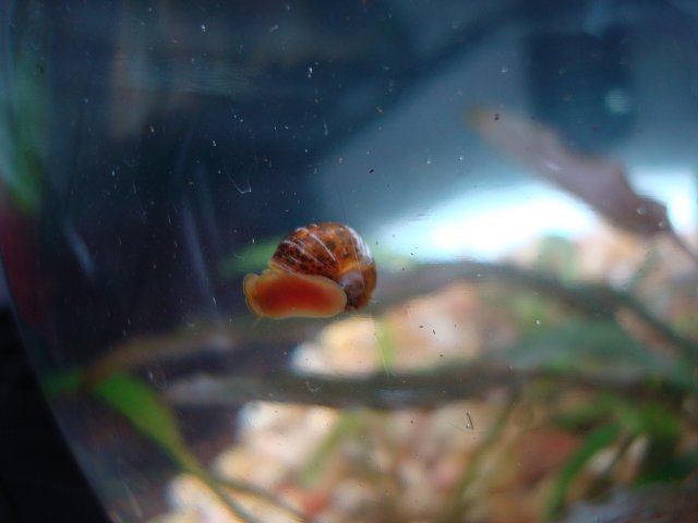 090610 digicam 007.jpg