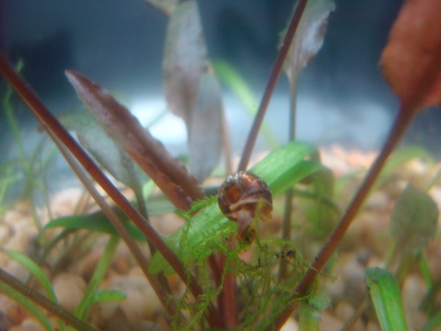090610 digicam 191.jpg