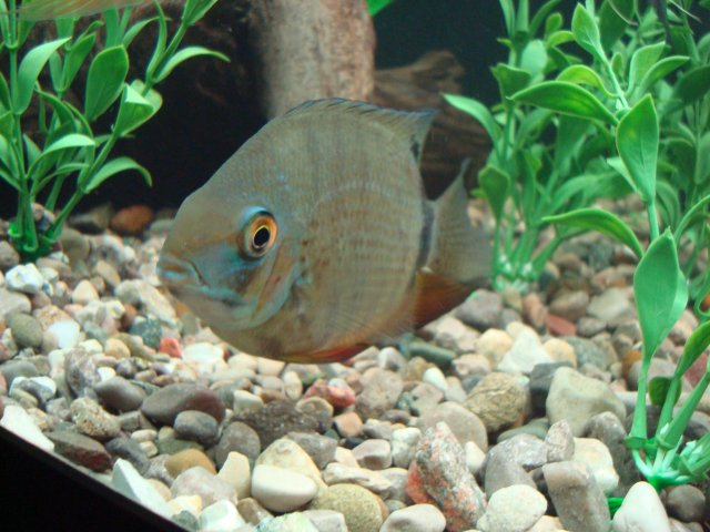 DSC08812.JPG DSC08812.JPG