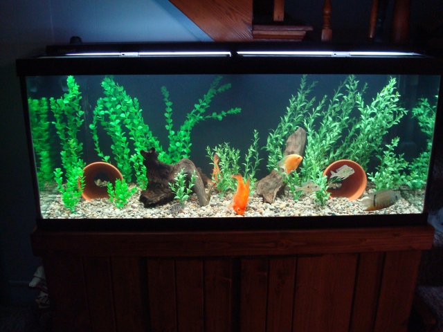 DSC08802.JPG DSC08802.JPG