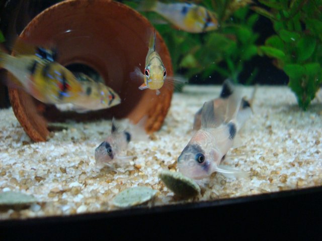 DSC08417.JPG DSC08417.JPG