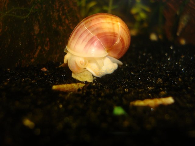 091010 digicam 016.jpg