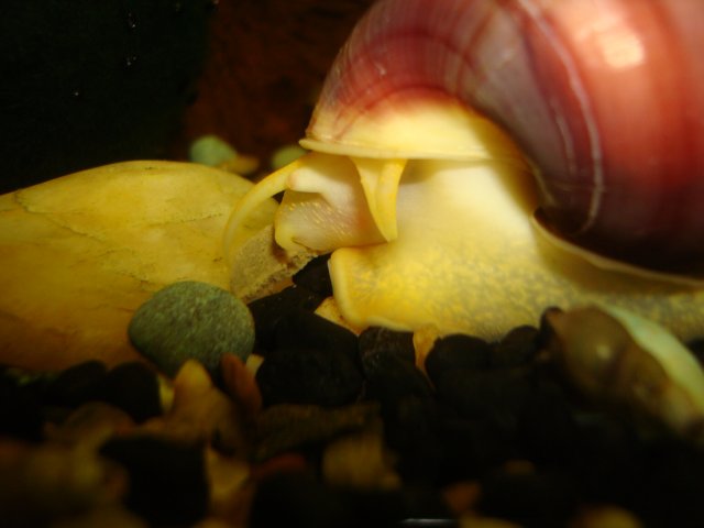 091010 digicam 014.jpg