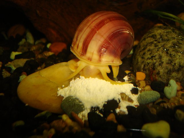 091010 digicam 057.jpg