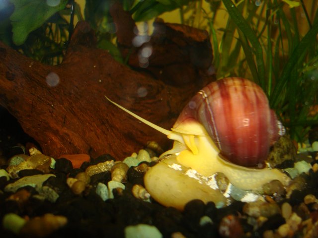 091010 digicam 060.jpg