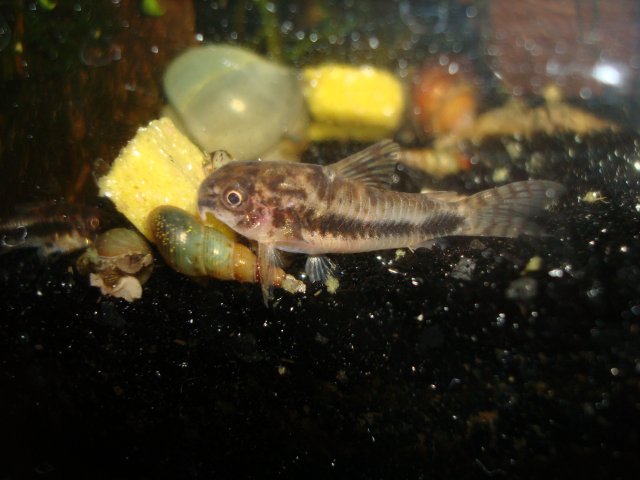 091010 digicam 084.jpg