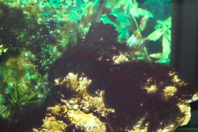 DSC_4497.JPG