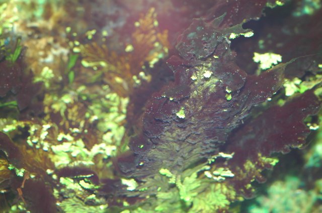 DSC_4498.JPG