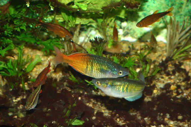 DSC_4496.JPG