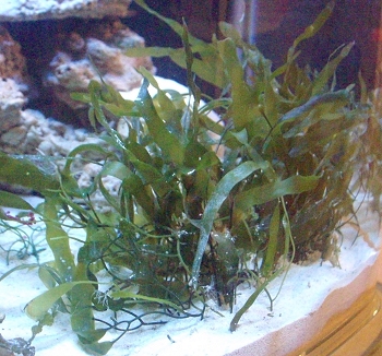 Jan-Sep 2010 185.jpg