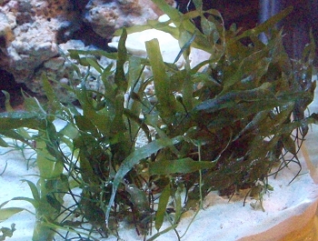 Jan-Sep 2010 188.jpg