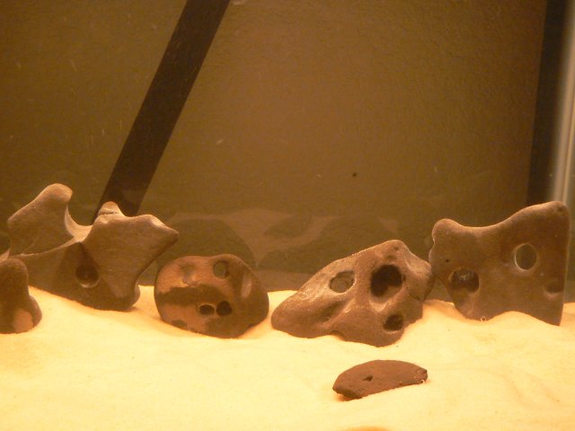 003.JPG