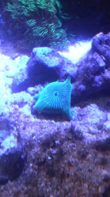 P1000680.jpg