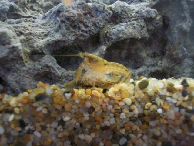 100_0679.JPG