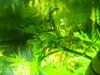 100_1316.JPG