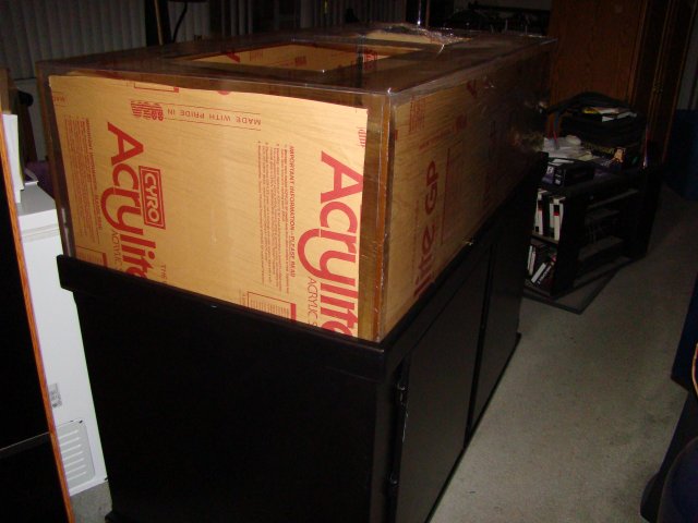 DSC00867.JPG