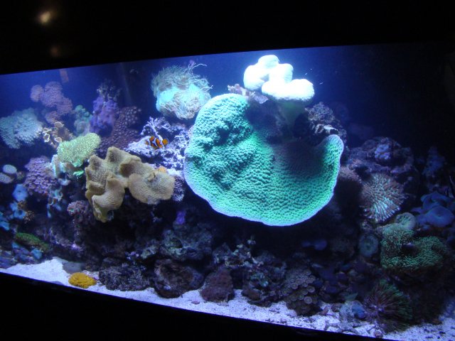 DSC00799.JPG