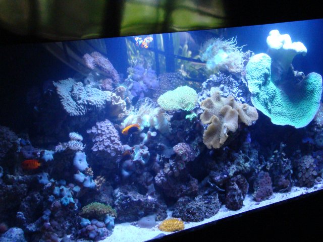 DSC00800.JPG