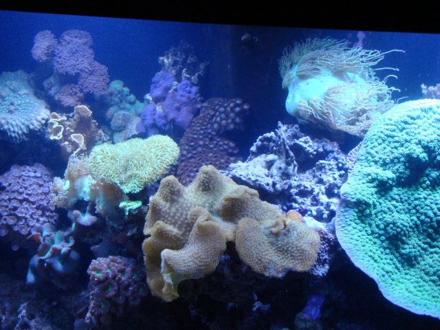 DSC00802.JPG