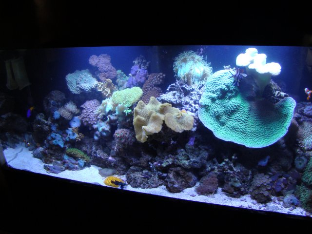 DSC00810.JPG