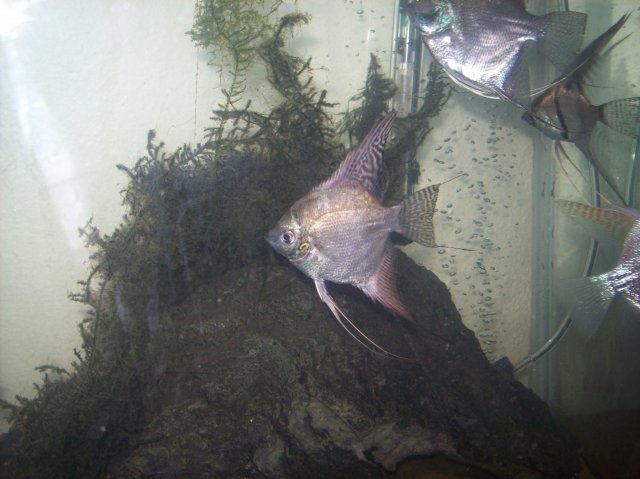 100_2125.JPG