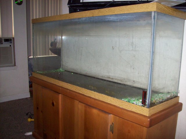100_2107.JPG