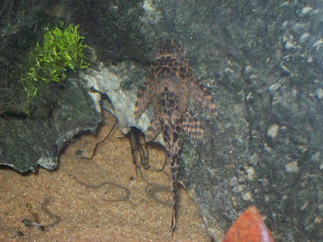 100_2139.JPG