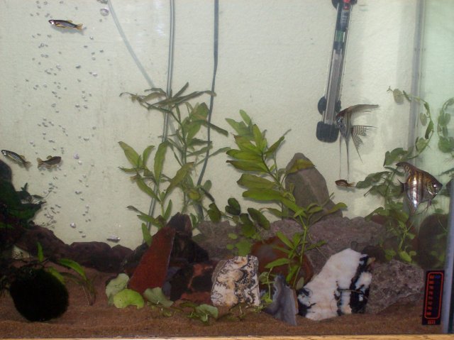 100_2155.JPG