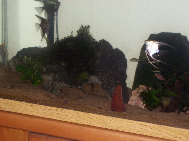 100_2156.JPG