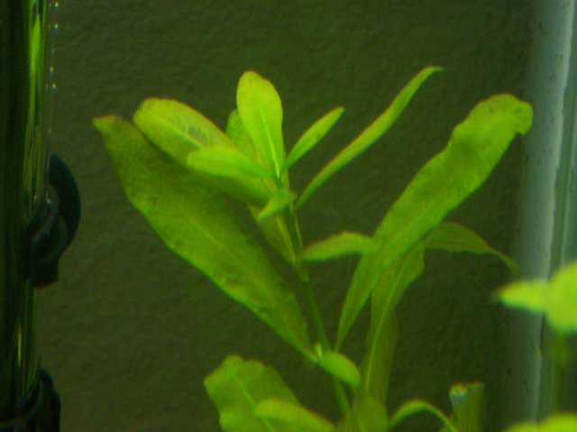 100_2207.JPG