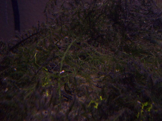 100_2213.JPG