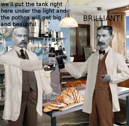 brilliant1.jpg