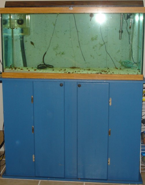 90 gallon1.JPG