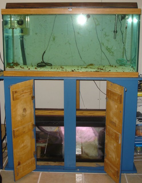90 gallon sump shown1.JPG