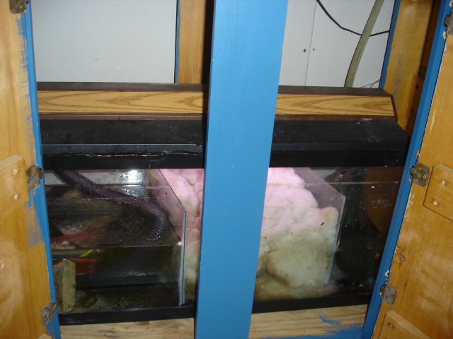 36 gallon sump with light1.JPG