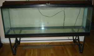 135 gallon aquarium.jpg