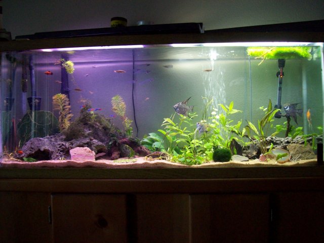 100_2247.JPG