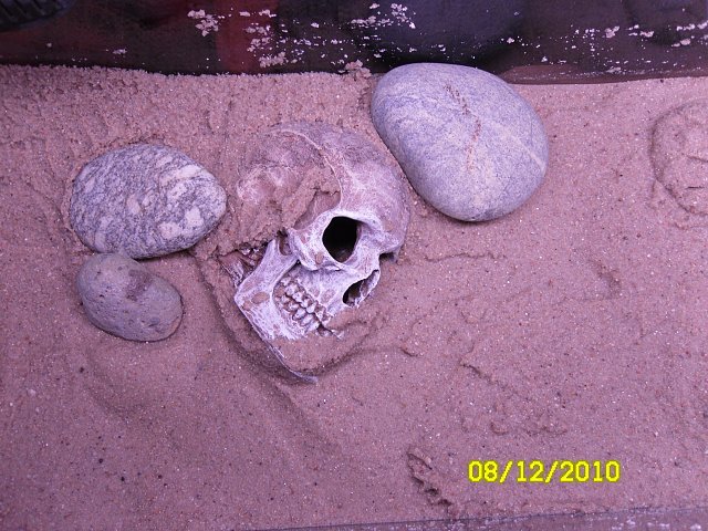 SAM_0676.JPG