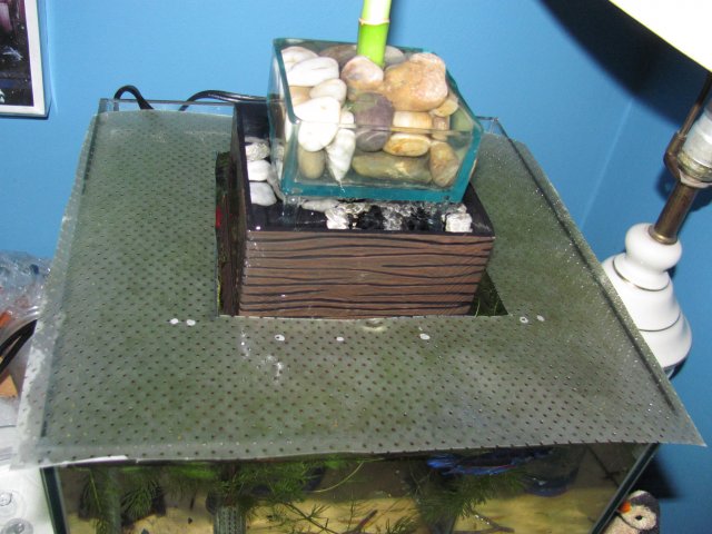 diy lid 2.JPG