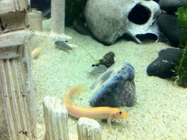 IMG_0361.JPG IMG_0361.JPG