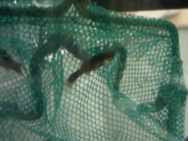 IMG00339-20100928-2045.jpg IMG00339-20100928-2045.jpg