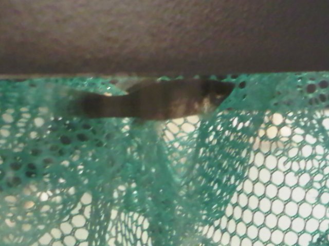 IMG00340-20100928-2048.jpg IMG00340-20100928-2048.jpg