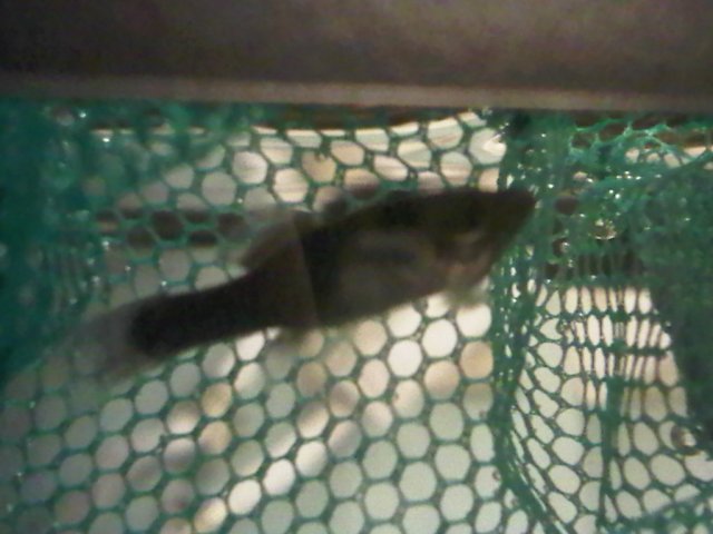 IMG00341-20100928-2048.jpg IMG00341-20100928-2048.jpg